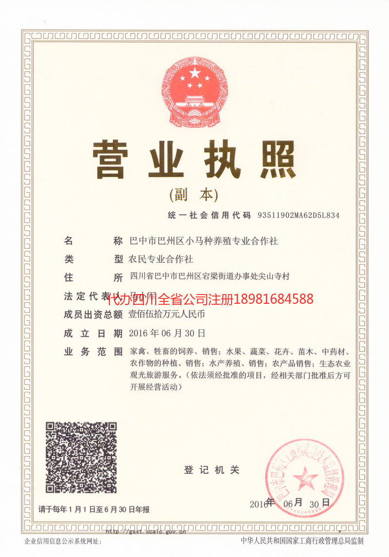 龙井龙井小马种养殖专业合作社